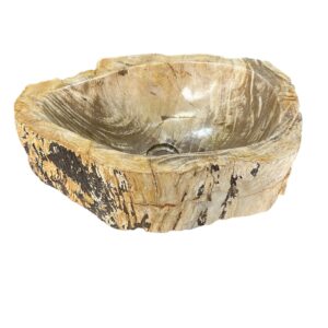 Petrified wood sink- unique natural art No. FS00017