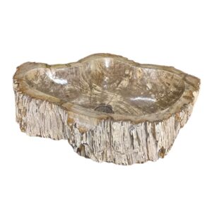 Petrified wood sink- unique natural art No. FS00034