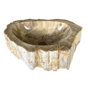 Petrified wood sink- unique natural art No. FS00087
