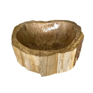 Petrified wood sink- unique natural art No. FS00112