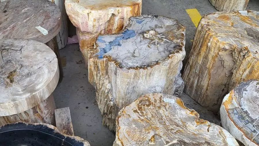Journey to the Heart of Petrified Wood Craftsmanship – Our Visit to an Indonesian Factory