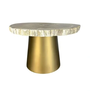 Petrified wood coffee table with natural fossilized top and golden base.
