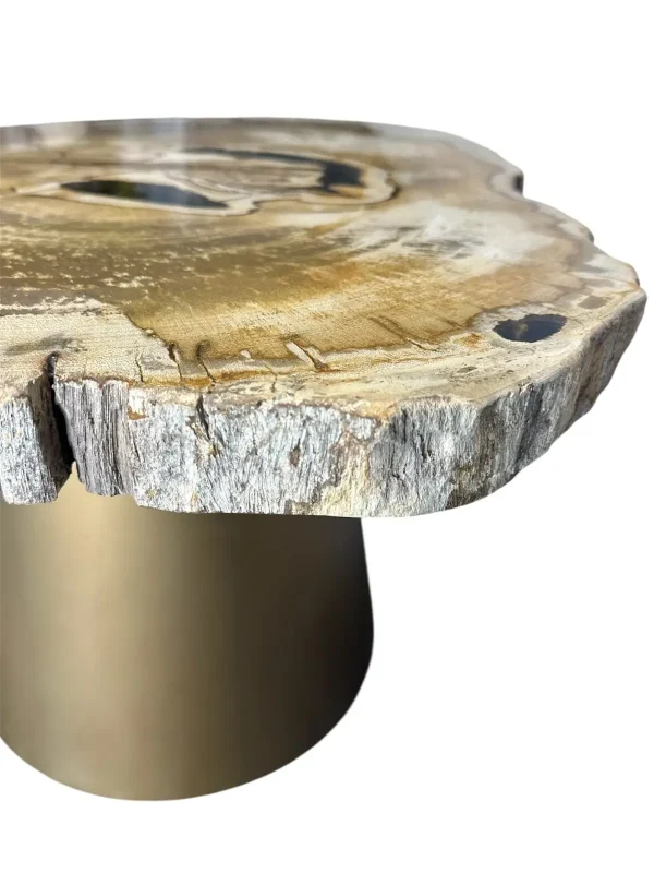 Petrified wood coffee table Art. No. DT00210