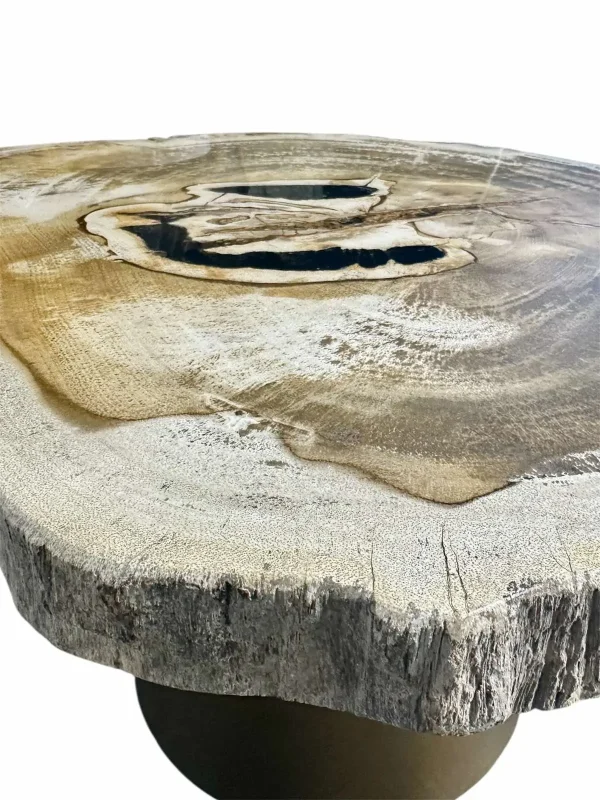 Petrified wood coffee table Art. No. DT00210