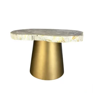 Petrified wood coffee table with natural fossilized top and golden base.