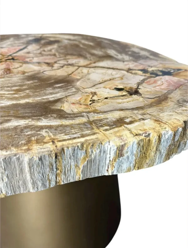 Petrified wood coffee table Art. No. DT00211