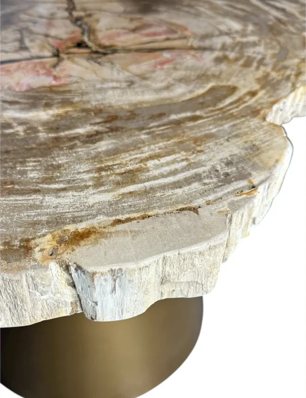 Petrified wood coffee table Art. No. DT00211