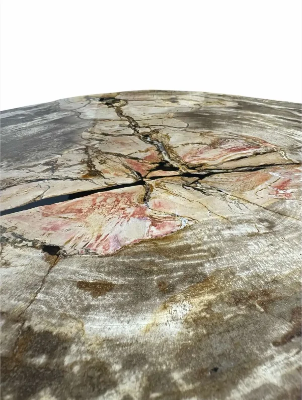Petrified wood coffee table Art. No. DT00211