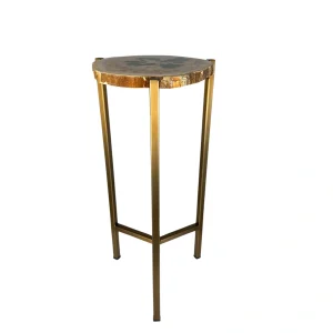 Handcrafted petrified wood accent table with polished fossilized top and gold metal base