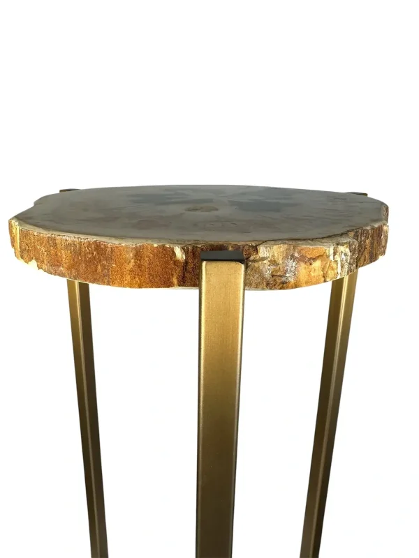 Petrified wood accent table Art. No. DT00229