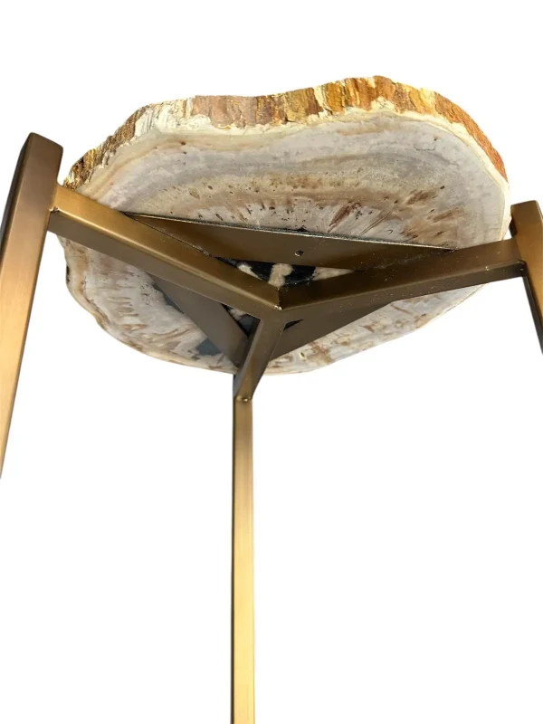 Petrified wood accent table Art. No. DT00229