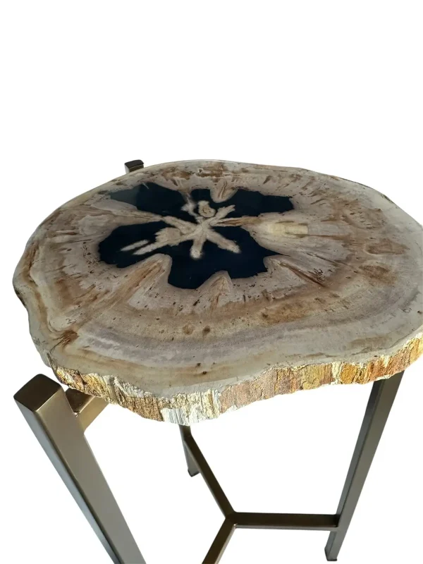 Petrified wood accent table Art. No. DT00229