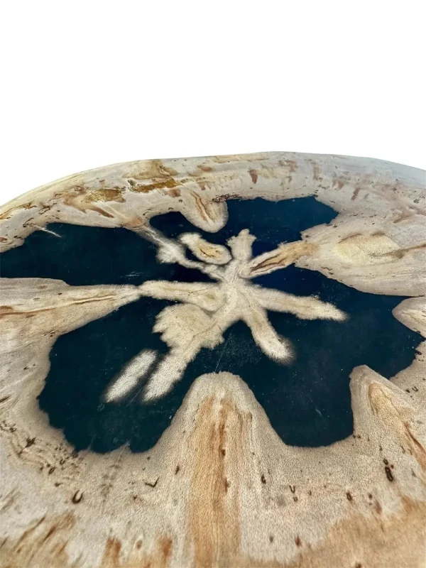 Petrified wood accent table Art. No. DT00229