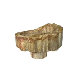 Handcrafted petrified wood bowl with polished interior and natural fossilized texture