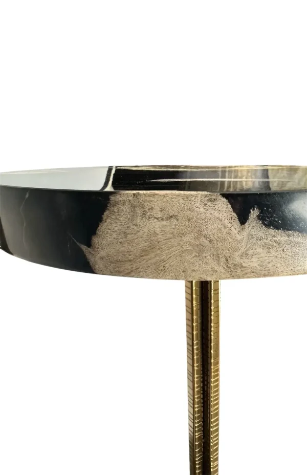 Petrified wood accent table Art. No. DT00217