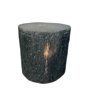 Handcrafted petrified wood and fiberglass coffee table with polished top and natural fossil texture