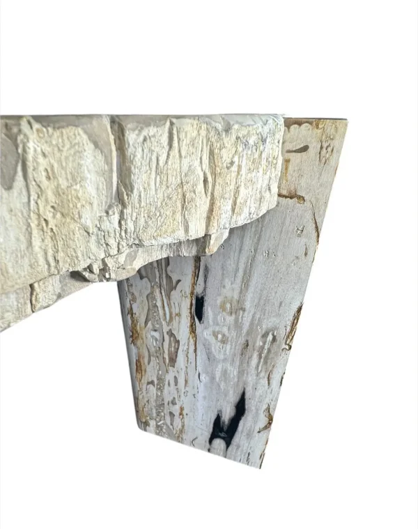 Petrified wood coffee table Art. No. DT00241