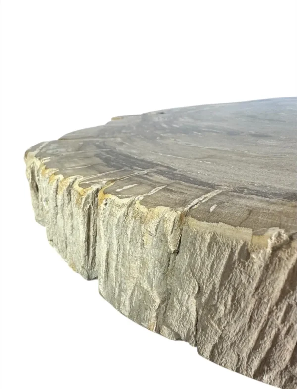 Petrified wood coffee table Art. No. DT00241