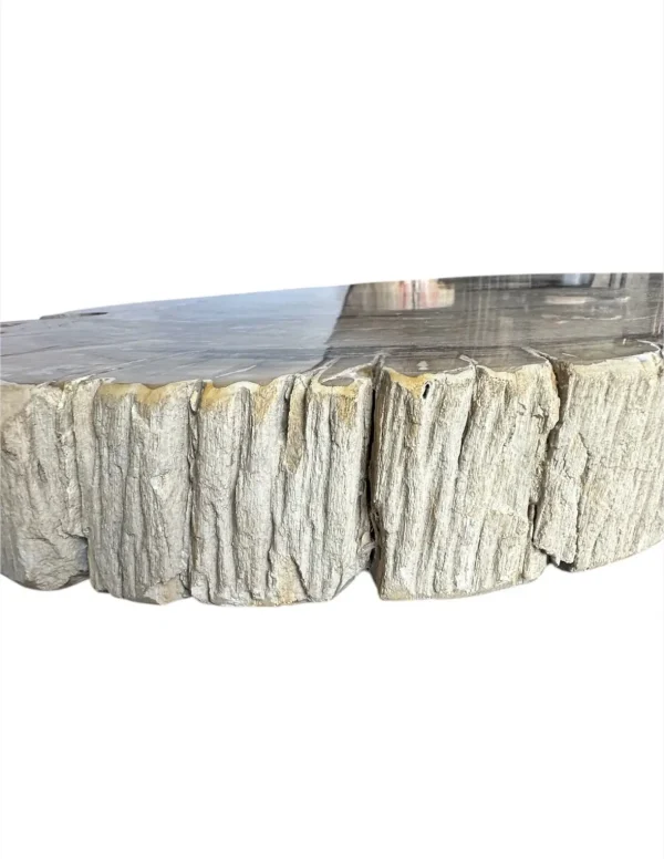 Petrified wood coffee table Art. No. DT00241