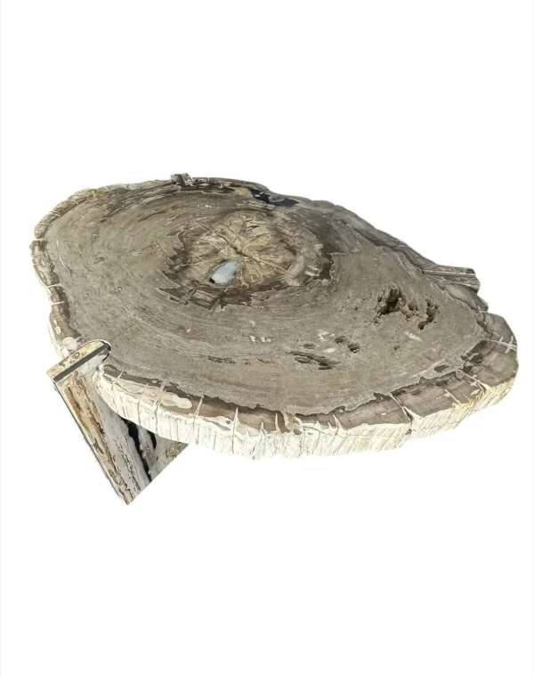 Petrified wood coffee table Art. No. DT00241