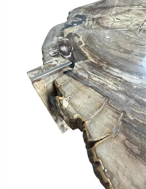 Petrified wood coffee table Art. No. DT00241