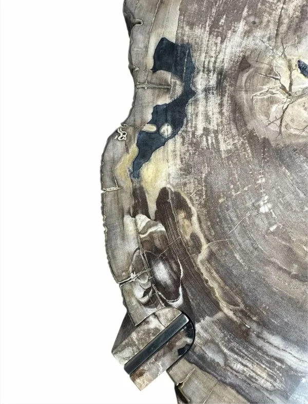 Petrified wood coffee table Art. No. DT00241