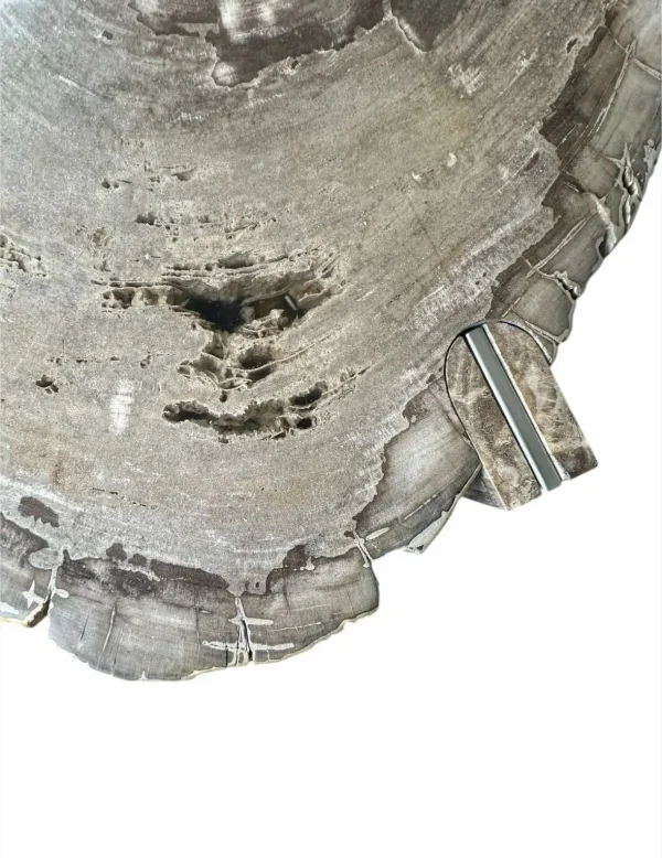 Petrified wood coffee table Art. No. DT00241
