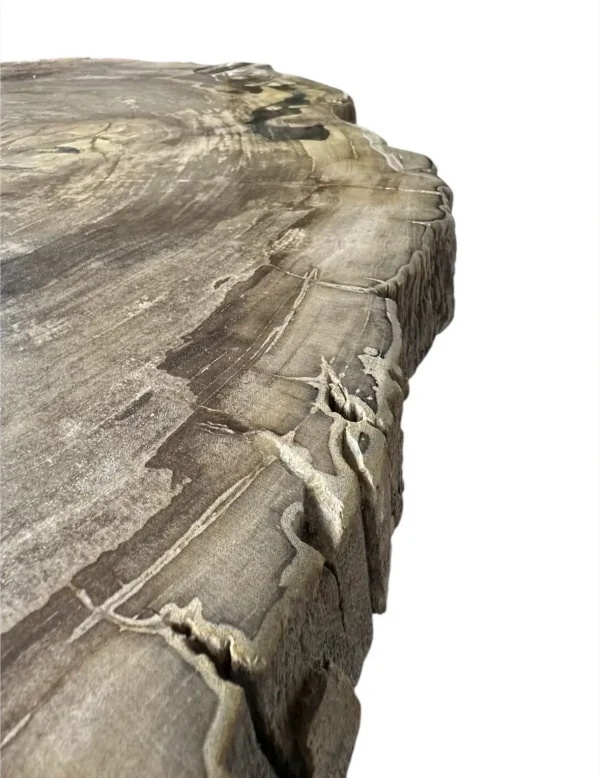 Petrified wood coffee table Art. No. DT00241