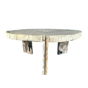 Petrified wood coffee table with natural stone finish and organic live edge