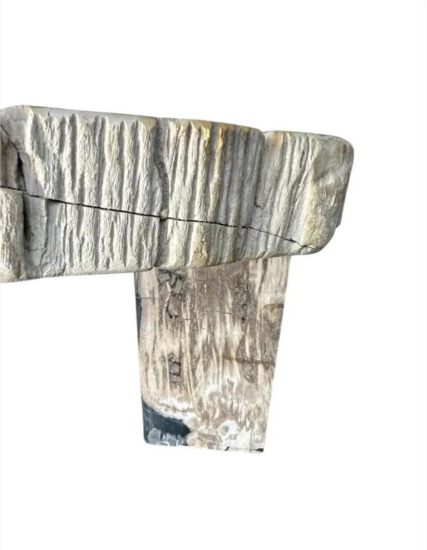 Petrified wood coffee table Art. No. DT00241