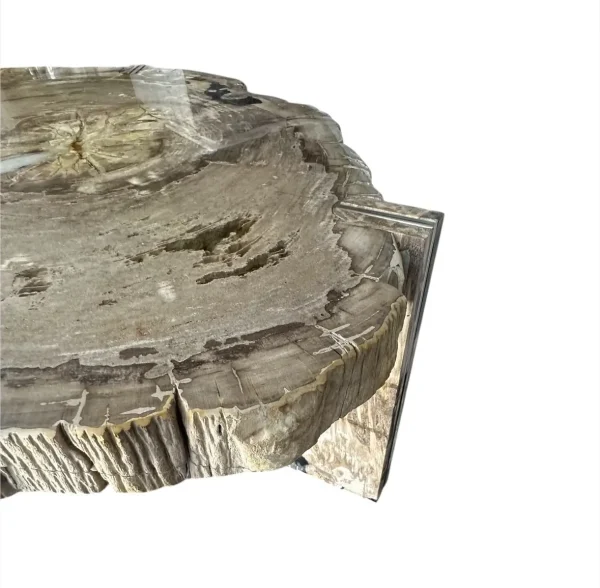 Petrified wood coffee table Art. No. DT00241