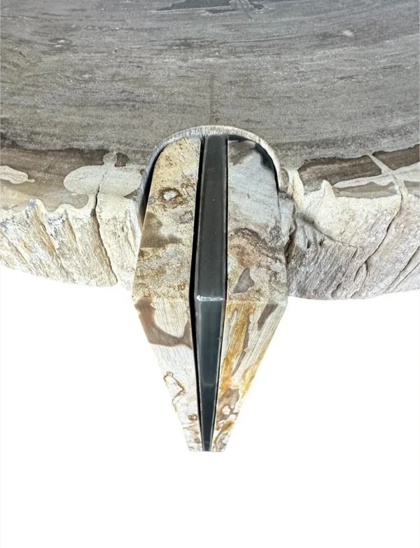 Petrified wood coffee table Art. No. DT00241