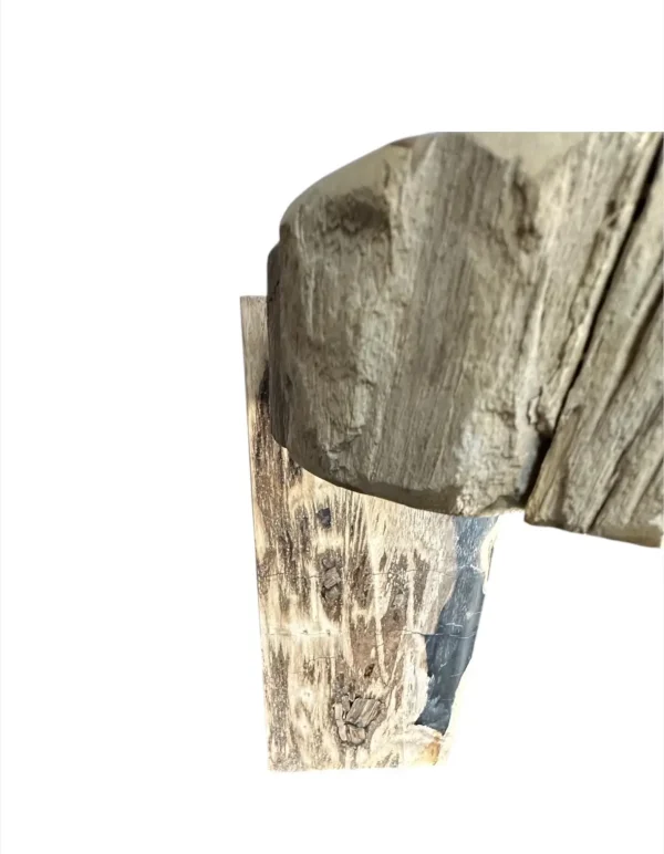 Petrified wood coffee table Art. No. DT00241