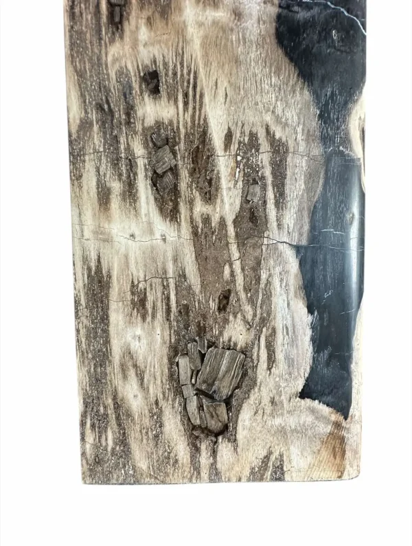 Petrified wood coffee table Art. No. DT00241