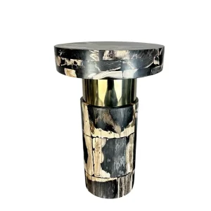 Petrified wood side table with brass detail and polished stone surface