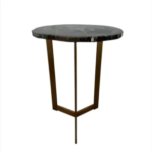 Luxurious petrified wood side table with natural fossilized top and brass metal base – handcrafted organic modern furniture.