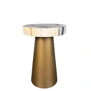 Handcrafted petrified wood side table with fossilized wood top and modern cone-shaped brass base.