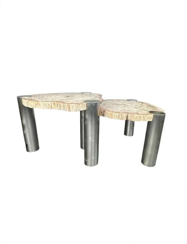 Petrified wood coffee table Art. No. DT00240