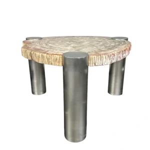 Luxury petrified wood coffee table with brushed steel legs and natural stone top.