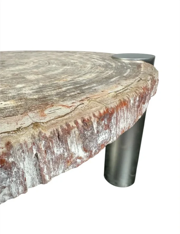 Petrified wood coffee table Art. No. DT00240
