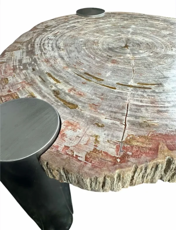 Petrified wood coffee table Art. No. DT00240