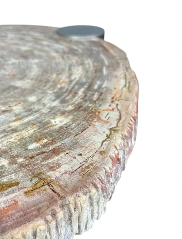 Petrified wood coffee table Art. No. DT00240