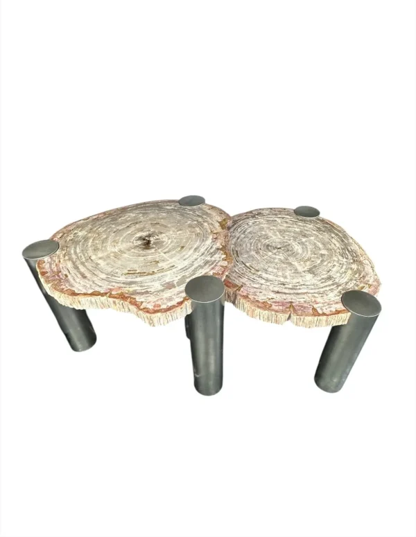 Petrified wood coffee table Art. No. DT00240