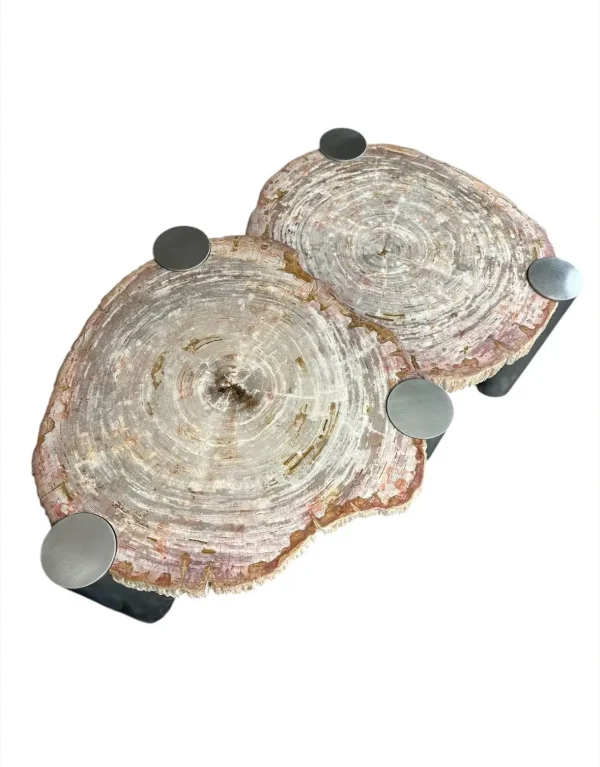 Petrified wood coffee table Art. No. DT00240