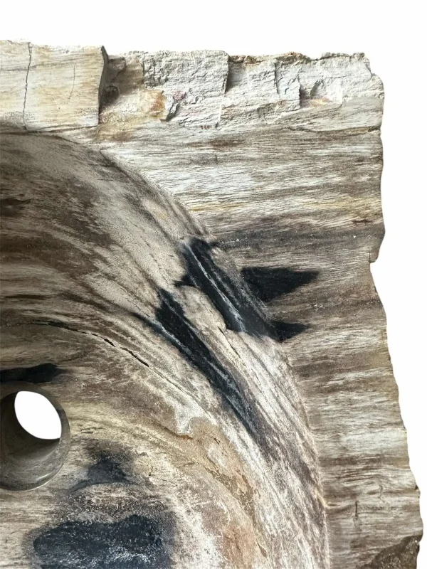 Petrified wood sink- unique natural art No. FS00257