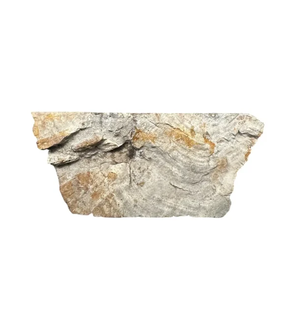 Petrified wood sink- unique natural art No. FS00257
