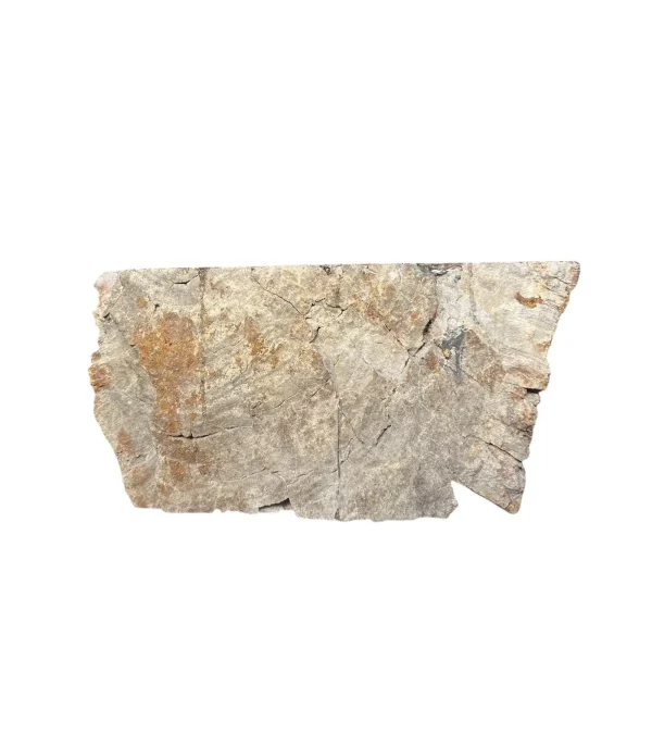 Petrified wood sink- unique natural art No. FS00257