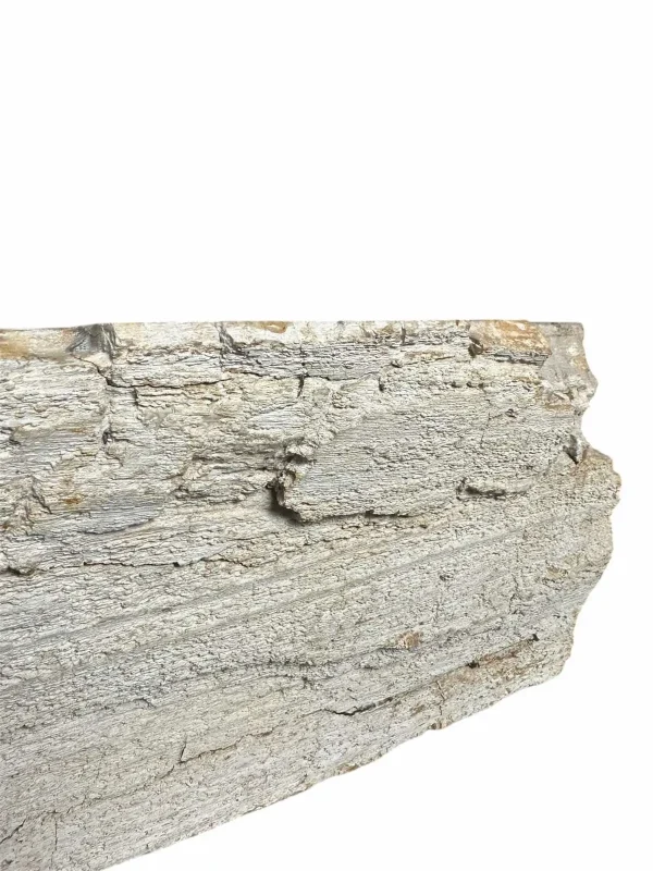 Petrified wood sink- unique natural art No. FS00257