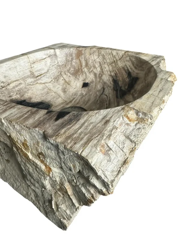 Petrified wood sink- unique natural art No. FS00257