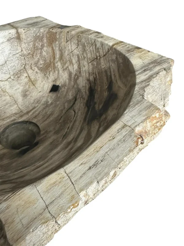Petrified wood sink- unique natural art No. FS00257